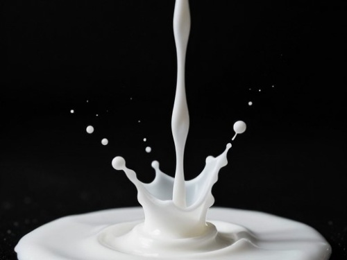 Фото Овсяная каша с абрикосами №2